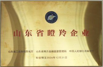山東省瞪羚企業
